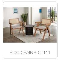 RICO CHAIR + CT111
